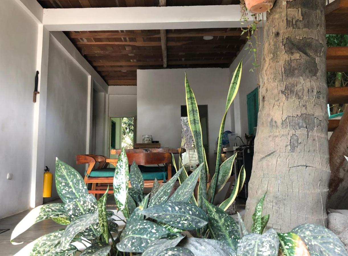 فندق Casa Kashiikaii بالومينو المظهر الخارجي الصورة